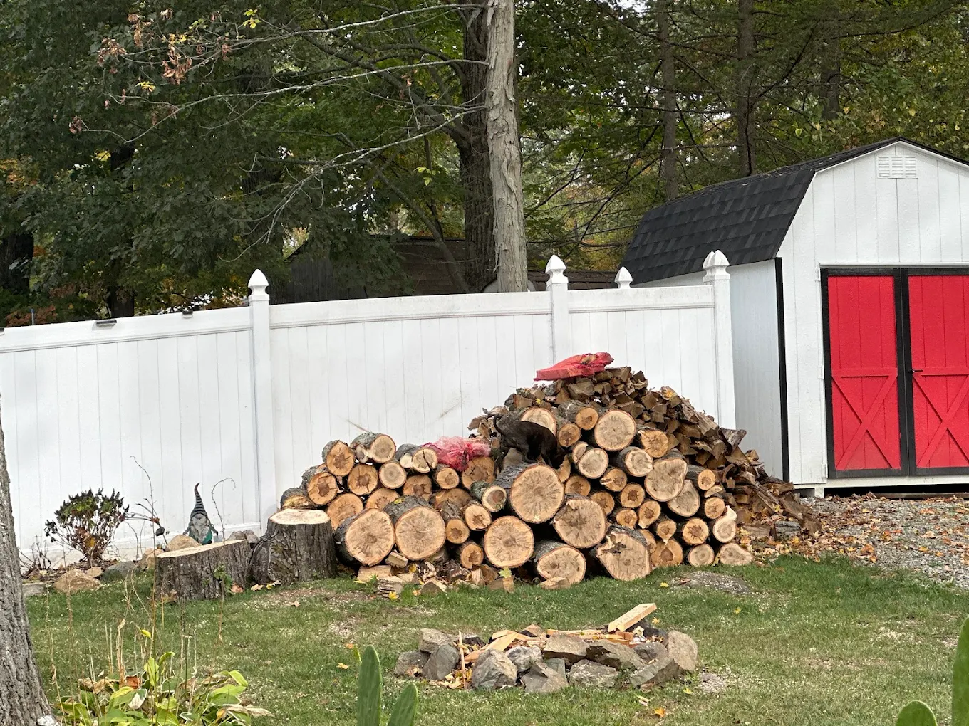 Finished cleanup and results