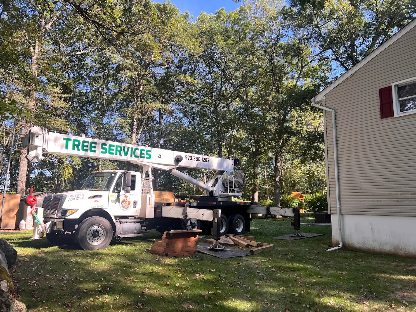 Tree trimming work