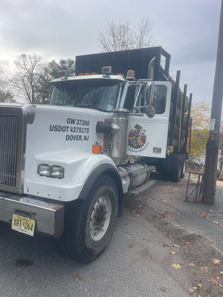 Tree Paradise completed work photo 1