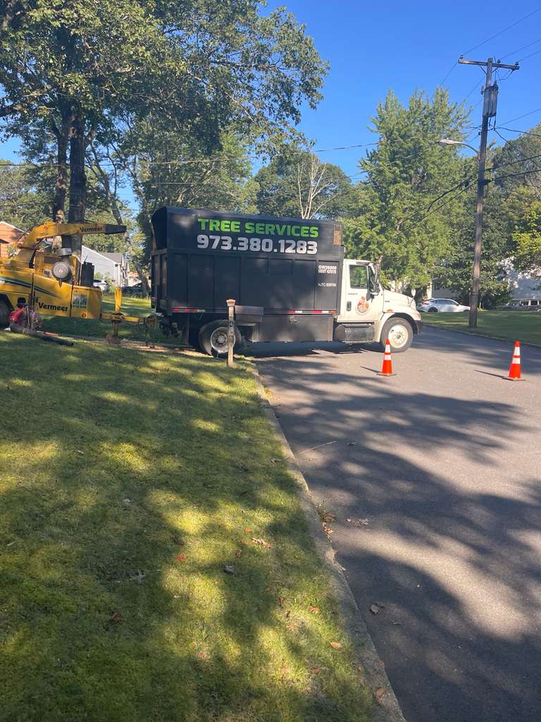 Tree Paradise completed work photo 10