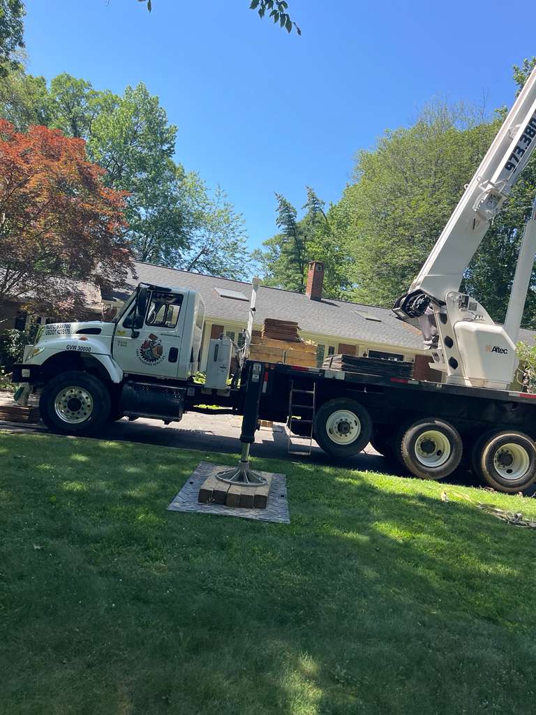 Tree Paradise completed work photo 12